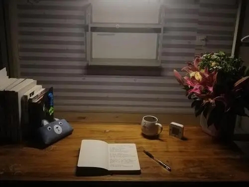 天天写字的说说文案