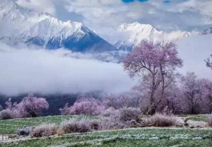 描写人性丑陋的古诗词