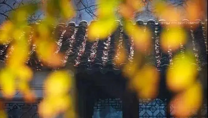 思念故人的诗句文案