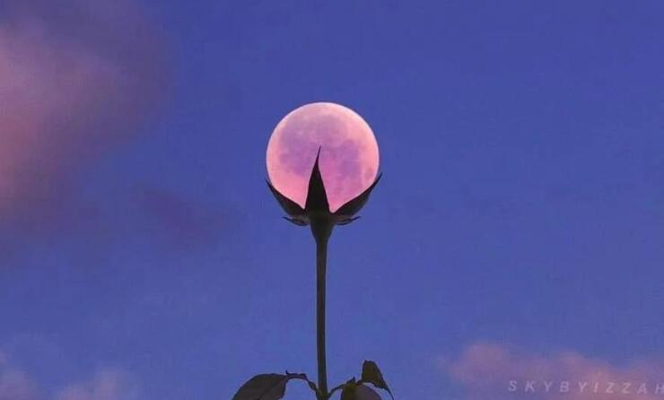 句子文案摘抄50字