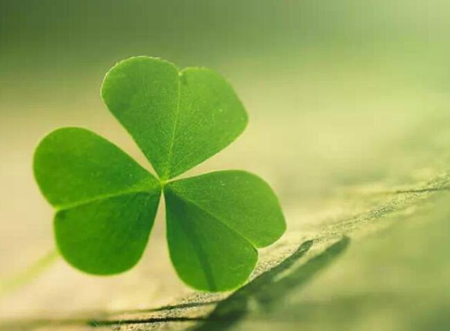 想通了看透的该放下的句子文案