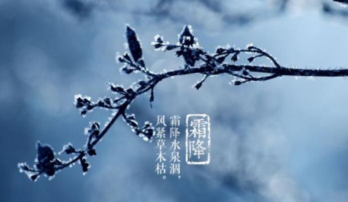 形容霜降的句子文案八个字