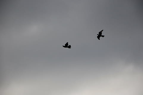 简短英语爱情名言