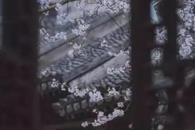 三月的美好寄语