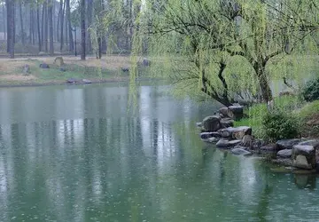 春天会友的诗句文案