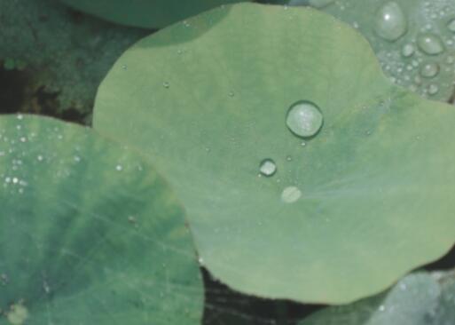 关于打雷下雨的说说文案