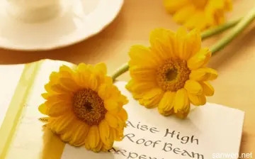 写老师的优美句子文案