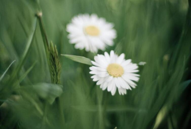 内涵唯美优雅短句