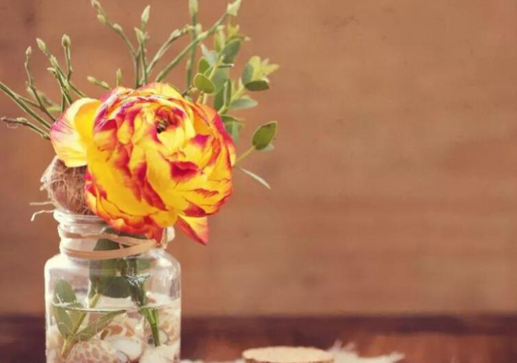 简单的小幸福美句