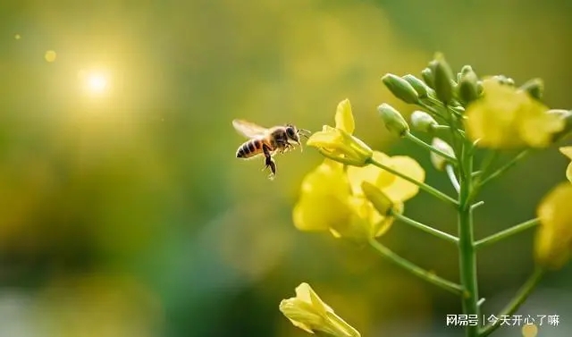 像造句子文案一年级