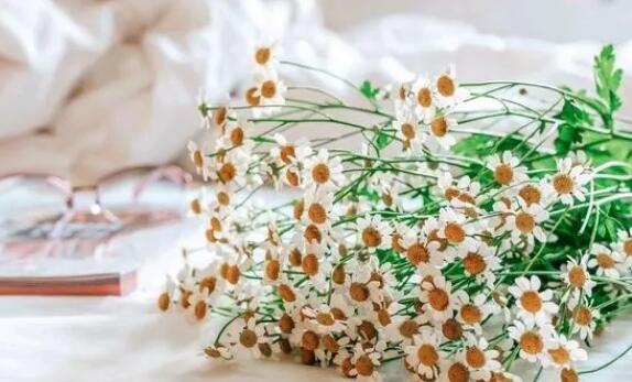 能感动双子男的情话文案