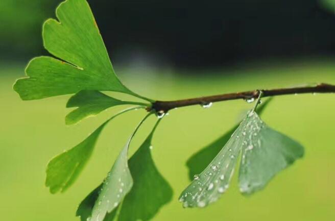 关于秋天的感慨句子文案