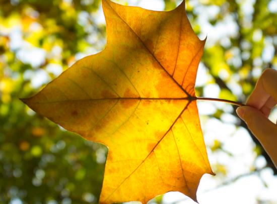 简单幸福祝福语言句子文案
