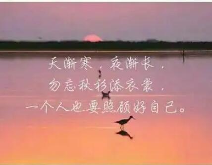 独自一人经典句子文案