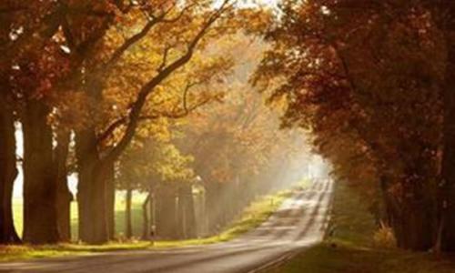 人生道路坎坷的句子文案