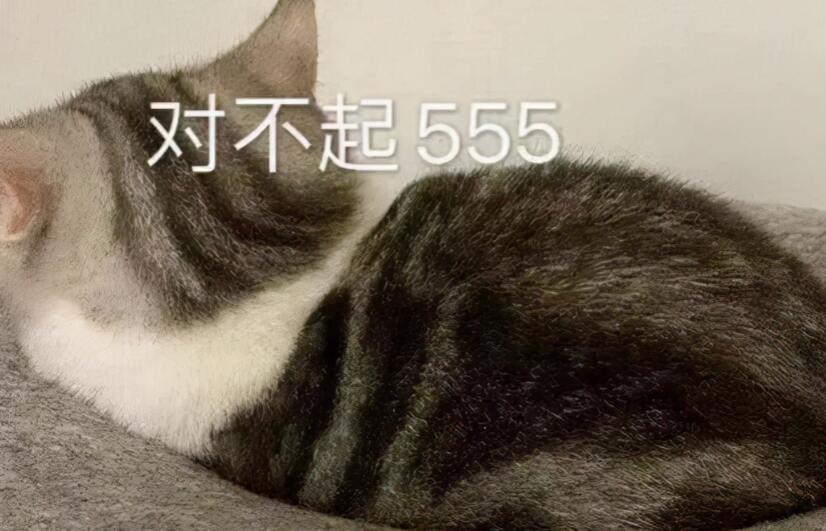 最诚恳道歉的句子文案