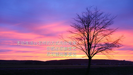 英文文案至理名言激励人生