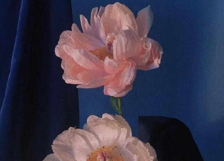 世界上最浪漫的句子文案