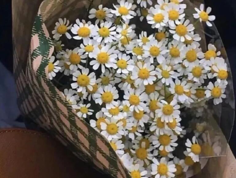 你的专属姓氏情话文案