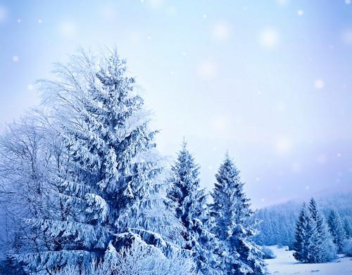 描写冬天的好句子文案15字左右