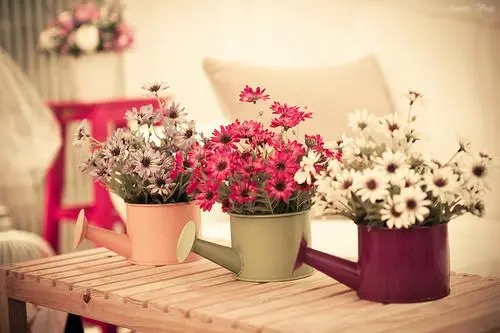 朋友圈晒花的唯美句子文案