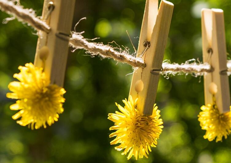 有幸遇见你的唯美句子文案