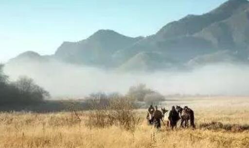 二十四节气寒露古诗词