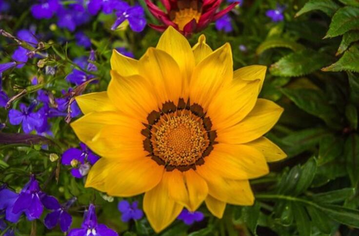 充满正能量努力奋斗的句子文案