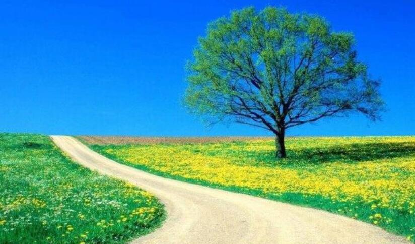 名言名句文案及感悟