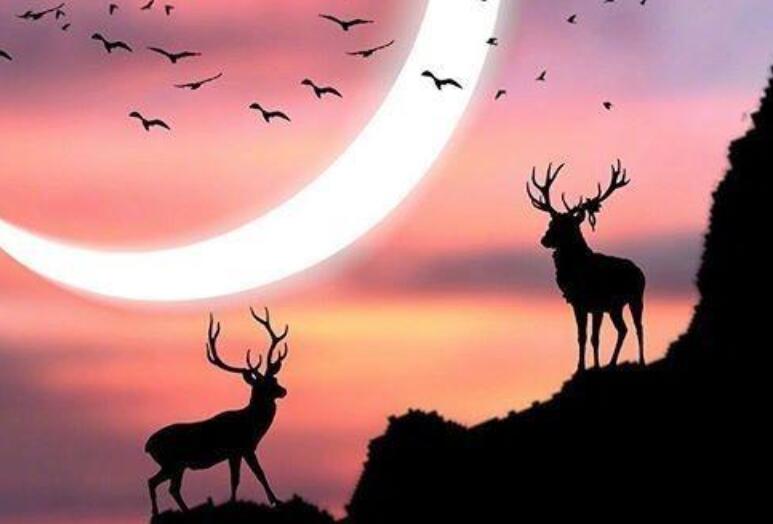 为梦想励志早安正能量短句