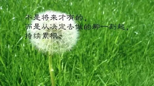清晨励志正能量的句子文案