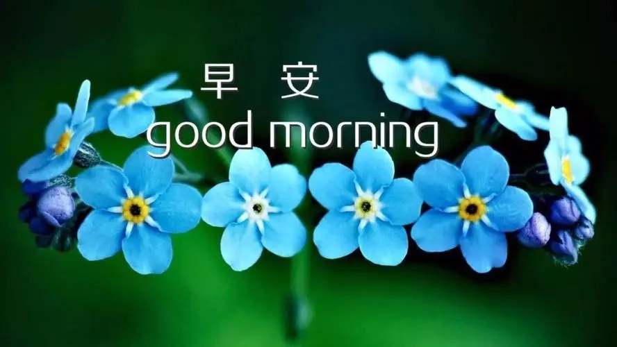 早上问候英文文案暖心短句