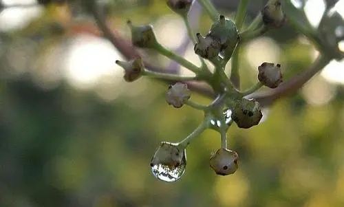 关于雨后的唯美句子文案简短