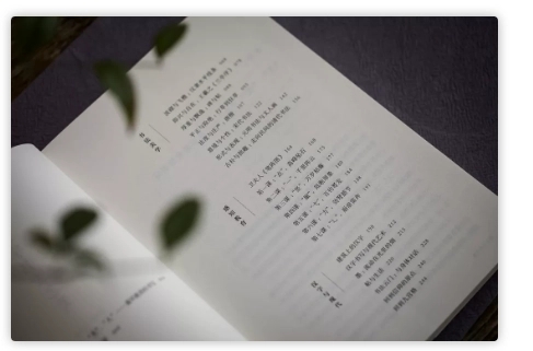 蒋勋美的沉思名言