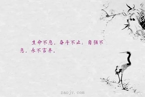 羡慕形容自强自立的句子文案