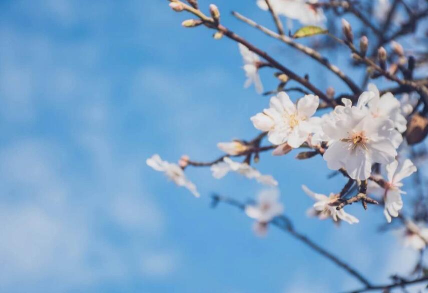 中华优秀经典诗词