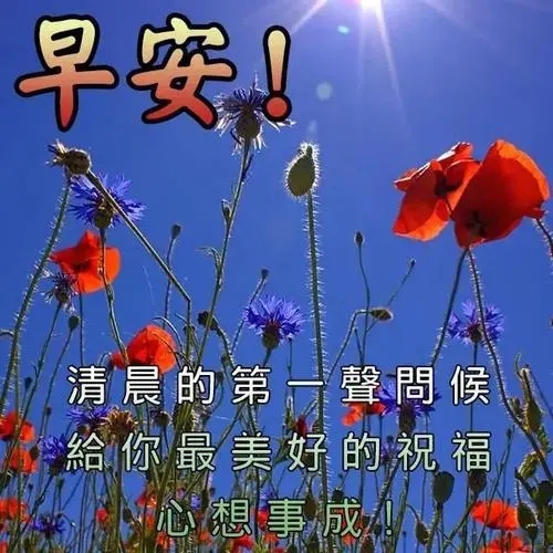 对早上的祝福语