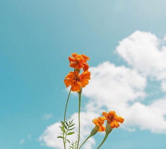 积极阳光的话语简短