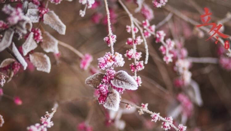 寒冬的句子文案短句唯美