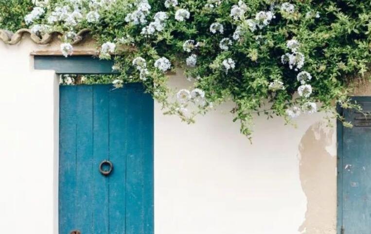 描写夏天景色的好词好句文案摘抄