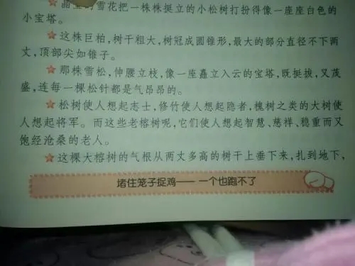 好词好句文案好段加解释加赏析