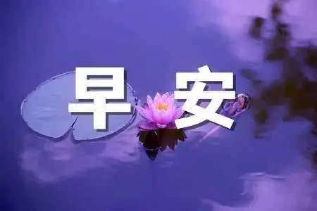 经典的早上好幽默问候语大全