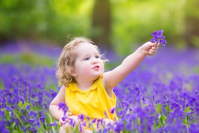 有关紫色的唯美诗词