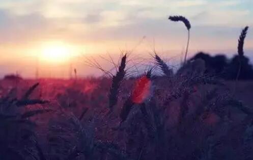 出去玩的心情句子文案