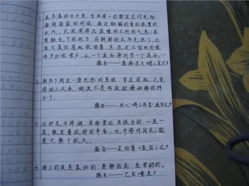 高中写作素材美文摘抄