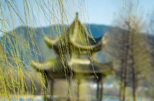 春日美景的唯美句子文案