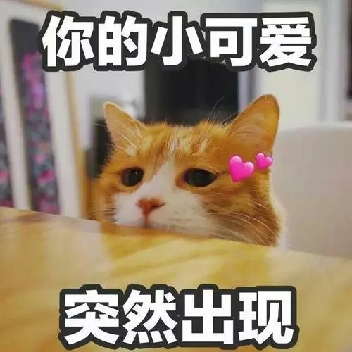 哄小仙女开心的话