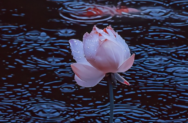 领悟人生哲理的句子文案简短