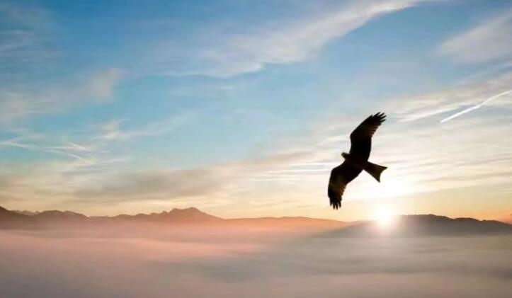 个人力量强大的说说文案