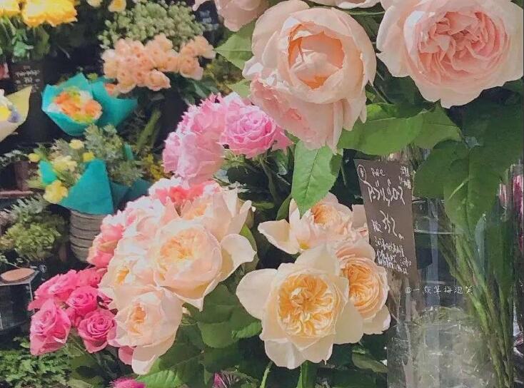 人生短暂珍惜当下短句子文案